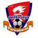 PelitaJaya